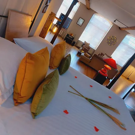 Baiser De Cupidon - Private Wellness Loft 255M2-2