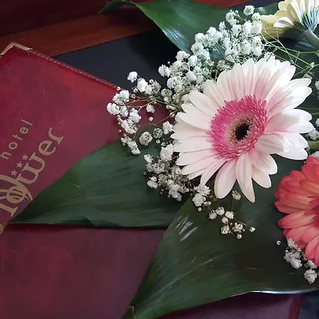 Hotel Motel Flower-2