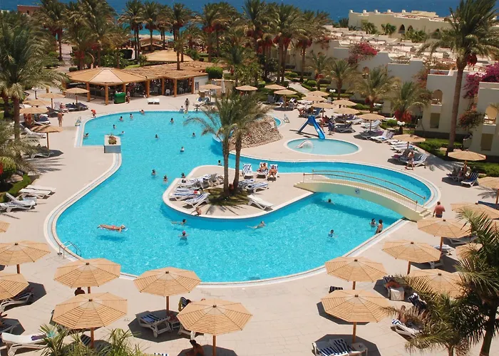 Palm Beach Resort Families And Couples Only