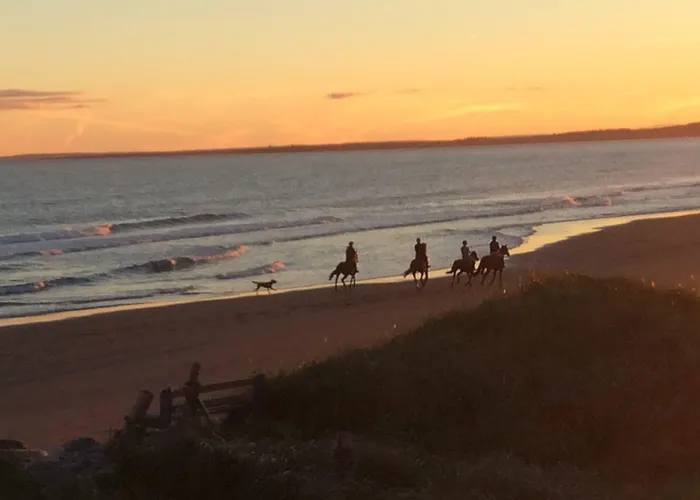 Moonlight Beach Suites Lawrencetown