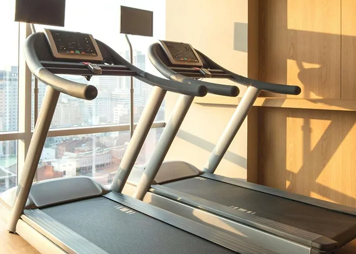 Ibis Styles Ambassador Seoul Myeong-Dong