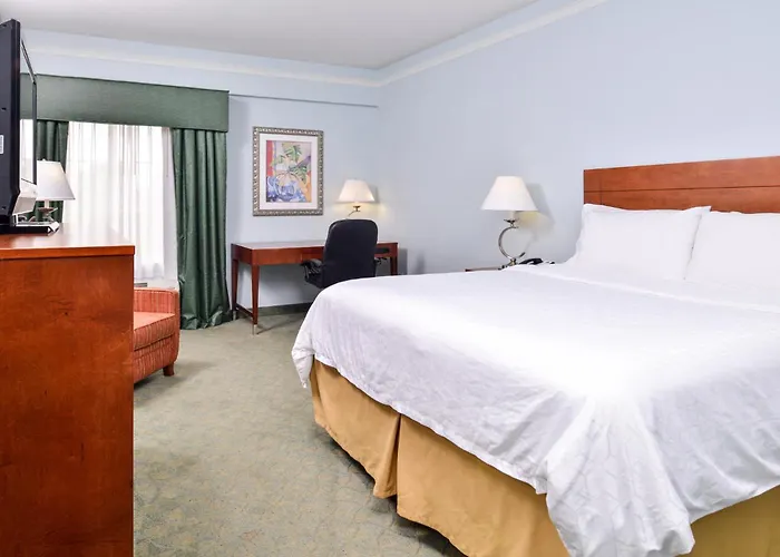 Holiday Inn Express Tampa North Telecom Park By Ihg