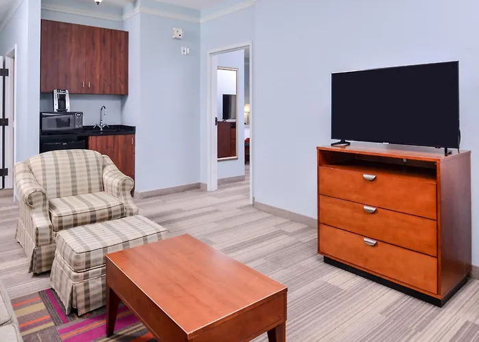 Holiday Inn Express Tampa North Telecom Park By Ihg