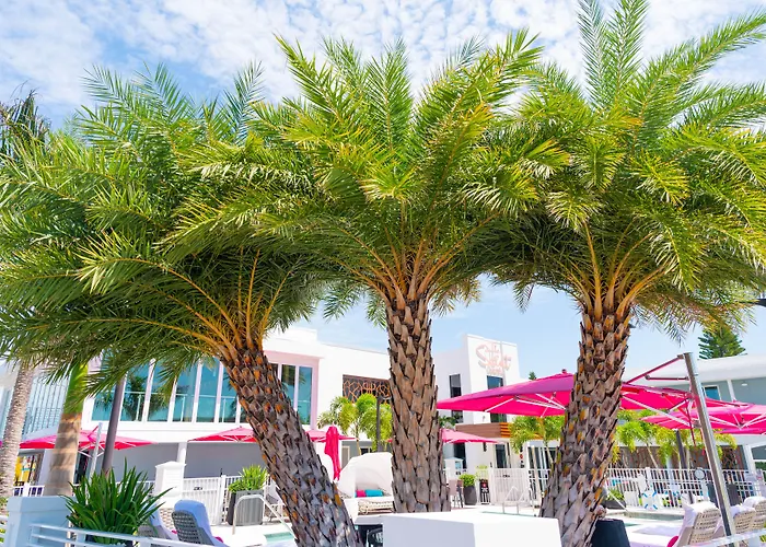 The Saint Hotel St. Pete Beach