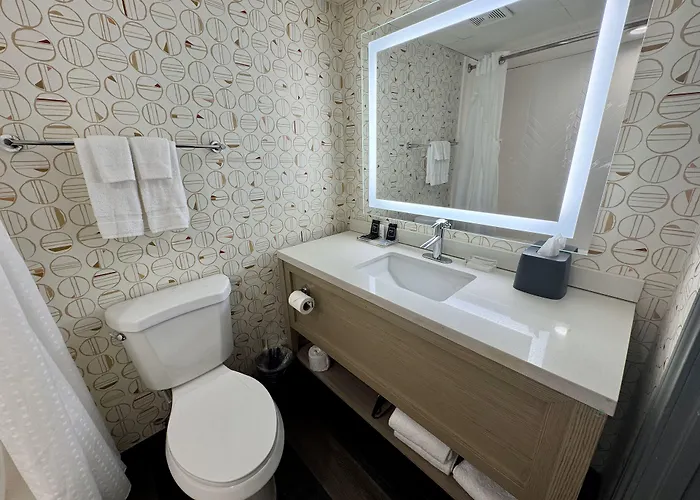 Wyndham Houston Hobby Airport Hotel South Houston