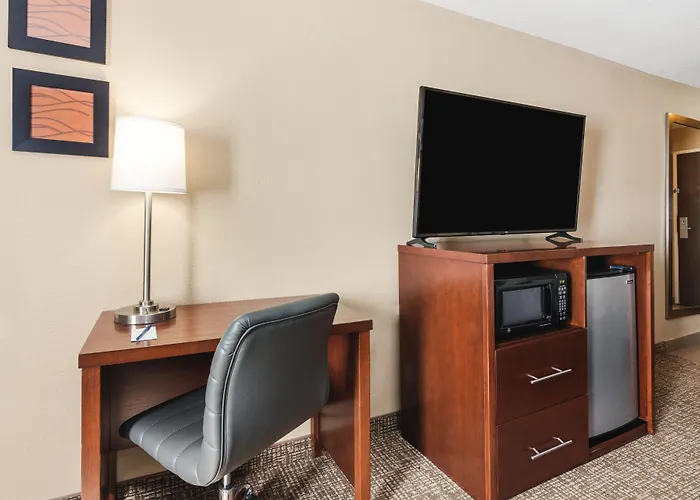 Comfort Inn & Suites Vancouver Downtown City Center