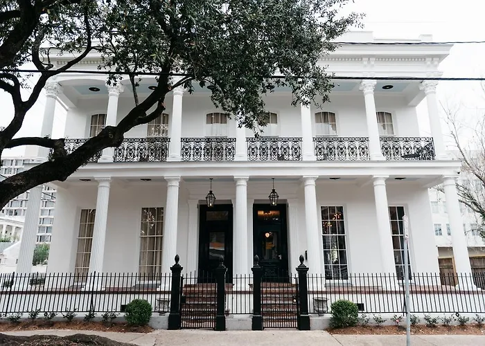 Best New Orleans Hotels For Families With Kids