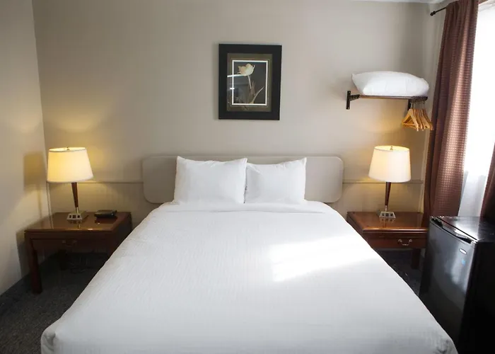 The City Motel Fredericton